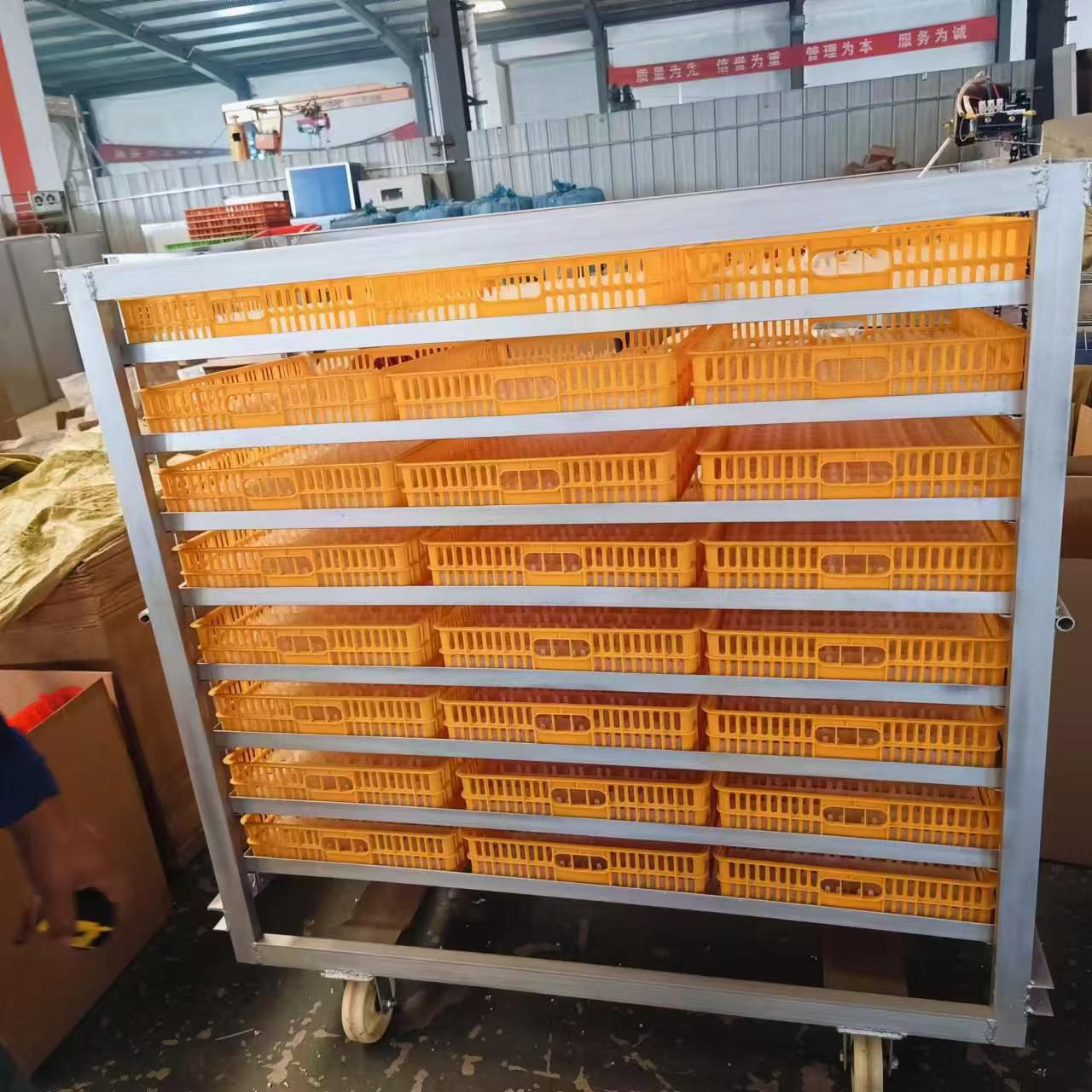 incubadora 2112 huevos de gallina